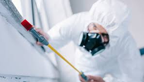 Real Estate Pest Inspections in Mcadoo, PA